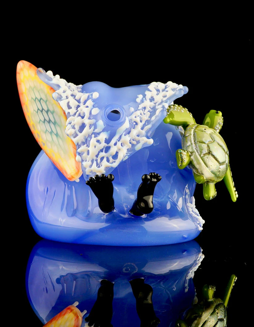 BLACK SAND / JOE PETERS - Planche de surf Rainbow Honeycomb et Honu Wipeout Wave